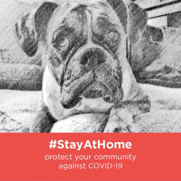 Meet your Posher, Lanny - Picture 1 of 1